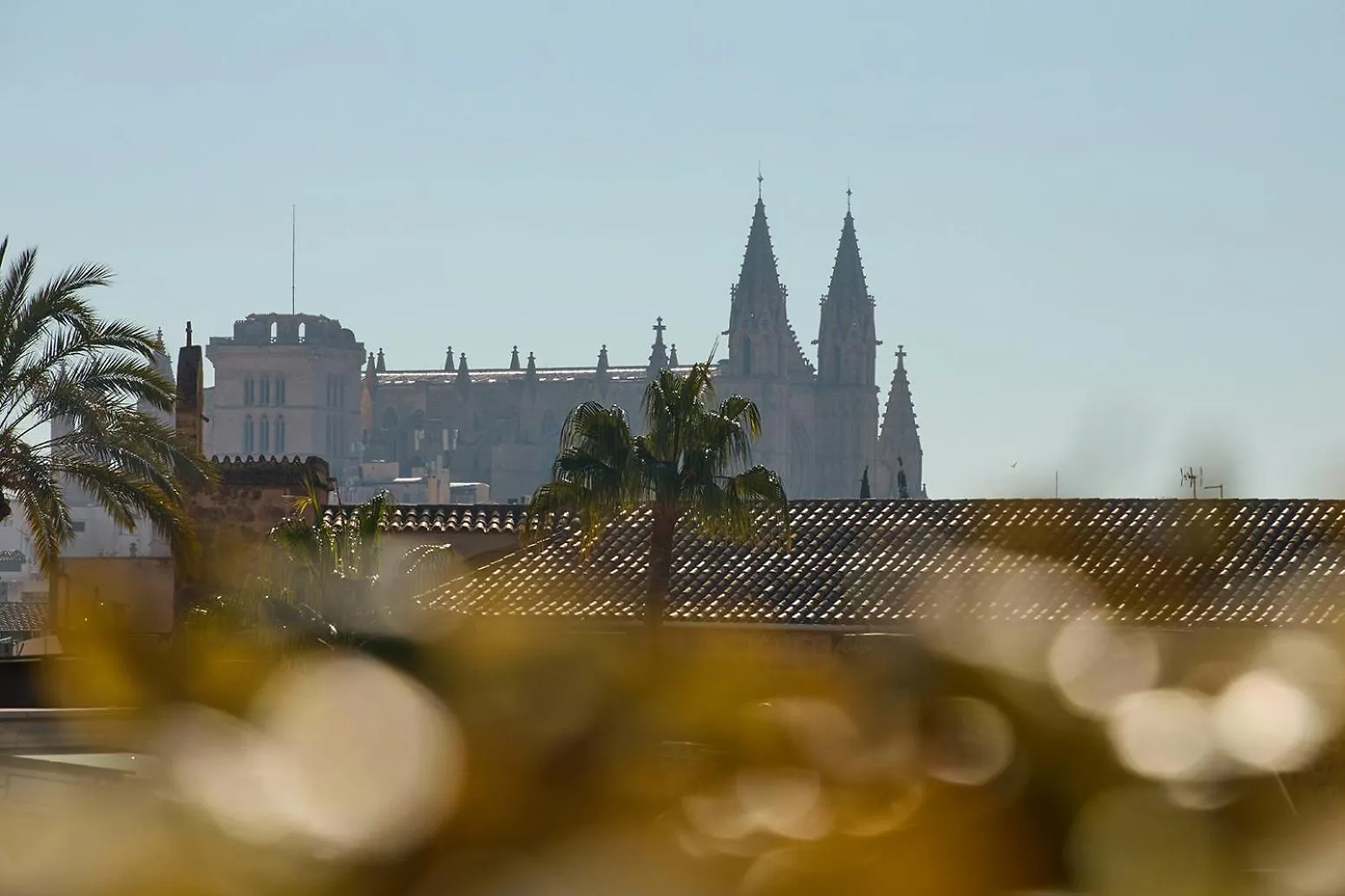 Sant Jaume Design Hotel Palma de Mallorca Spain